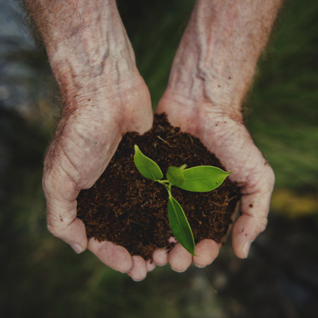 Produtor rural segurando adubo orgânico com plantinha